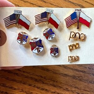 Ten PNA lapel pins 3 PNA American Flag and 4  Crest and 3 gold initials Pin Set